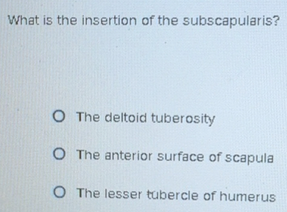 Solved: What is the insertion of the subscapularis? The deltoid ...