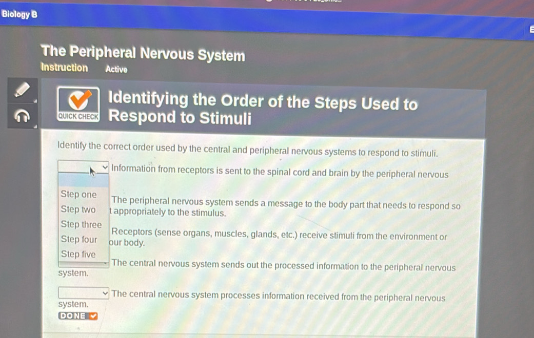 Solved: Biology B The Peripheral Nervous System Instruction Active ...