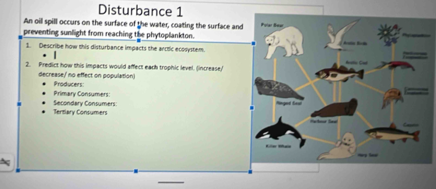 Disturbance 1 
An oil spill occurs on the surface of the water, coating the surface an 
preventing sunlight from reaching the phytoplankton. 
1. Describe how this disturbance impacts the arctic ecosystem. 
2. Predict how this impacts would affect each trophic level. (increase/ 
decrease/ no effect on population) 
Producers: 
Primary Consumers: 
Secondary Consumers: 
Tertiary Consumers