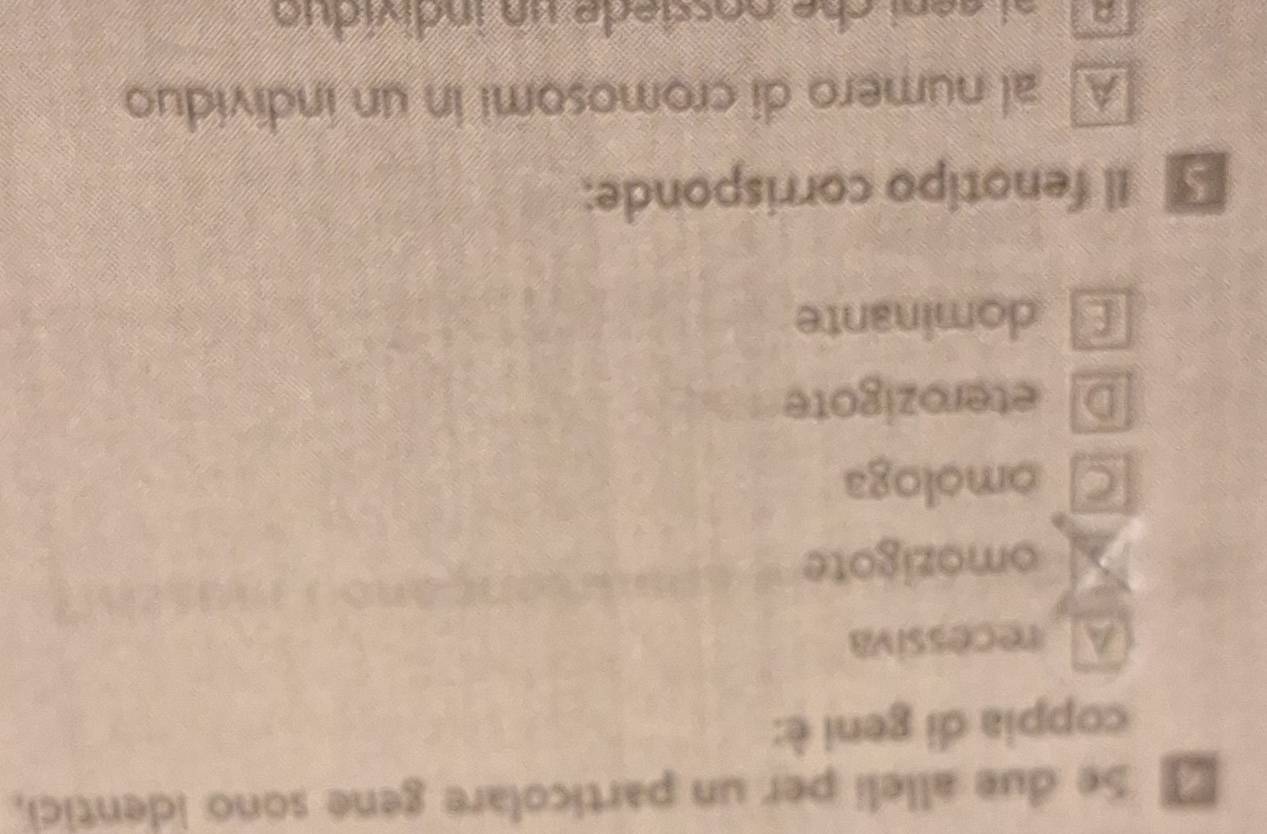 Se due alleli per un particolare gene sono identici,
coppia di geni è:
A recessiva
omozigote
C omologa
D eterozigote
E dominante
* Il fenotipo corrisponde:
A al numero di cromosomi in un individuo
A l al seni che nossiede un individuo