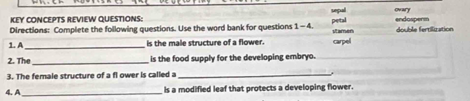 sepal ovary 
KEY CONCEPTS REVIEW QUESTIONS: endosperm 
Directions: Complete the following questions. Use the word bank for questions 1-4. petal stamen double fertilization 
1. A_ is the male structure of a flower. carpel 
2. The _is the food supply for the developing embryo. 
3. The female structure of a fl ower is called a _. 
4.A _is a modified leaf that protects a developing flower.