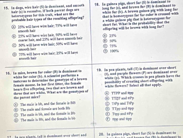 In dogs, wire hair (S) is dominant, and smooth 18. In guinea pigs, short fur (S) is dominant to
hair (s) is recessive. If both parent dogs are long fur (s), and brown fur (B) is dominant to
beterozygous for this trait, what are the white fur (b). A brown guines pig with long fur
probable hair types of the resulting offspring? that is homozygous for fur color is crossed with
a white guinea pig that is heterozygous for
A 25% will have wire hair; 75% will have short fur. What is the probability that the
smooth hair offspring will be brown with long fur?
⑧ 25% will have wire hair, 50% will have Ⓐ 25%
coarse hair, and 25% will have smooth hair ⑧ 50%
© 50% will have wire hair; 50% will have
smooth hair © 75%
D 75% will have wire hair; 25% will have 100%
smooth hair
16. In mice, brown fur color (B) is dominant to 19. In pea plants, tall (T) is dominant over short
white fur color (b). A scientist performs a (t), and purple flowers (P) are dominant over
testcross to determine the genotype of a brown white (p). Which crosses in pea plants have the
female mouse. In her first litter, the female possibility of creating short offspring with
bears five offspring, two that are brown and white flowers? Select all that apply.
three that are white. What are the genotypes of Ⓐ TTPP and ttpp
the parent mice? ⑧ TTPP and ttPp
A The male is bb, and the fernale is BB © TtPp and TtPp
⑧ The male and female are both Bb Ⓓ TTpp and ttpp
© The male is bb, and the female is Bb € Ttpp and ttPp
D The male is Bb, and the female is bb Ⓕ ttpp and tipp
17. In pra plants, tall is dominant over short and 20. In guinea pigs, short fur (S) is dominant to
ow n für B ) is dominant to