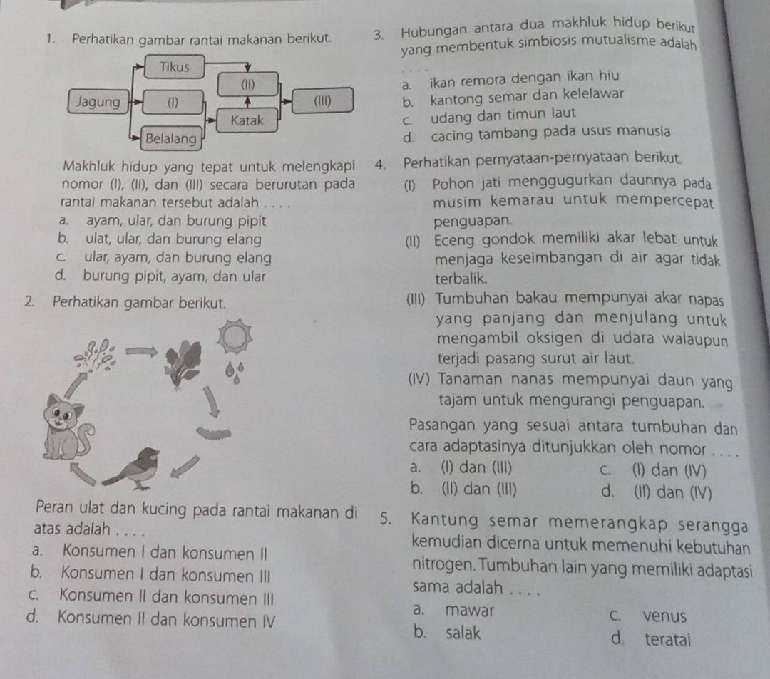 Perhatikan gambar rantai makanan berikut. 3. Hubungan antara dua makhluk hidup berikut
yang membentuk simbiosis mutualisme adalah
Tikus
(11)
a. ikan remora dengan ikan hiu
Jagung (1) (Iii) b. kantong semar dan kelelawar
Katak
c. udang dan timun laut
Belalang d. cacing tambang pada usus manusia
Makhluk hidup yang tepat untuk melengkapi 4. Perhatikan pernyataan-pernyataan berikut.
nomor (I), (II), dan (III) secara berurutan pada (1) Pohon jati menggugurkan daunnya pada
rantai makanan tersebut adalah . . . . musim kemarau untuk mempercepat
a. ayam, ular, dan burung pipit penguapan.
b. ulat, ular, dan burung elang (II) Eceng gondok memiliki akar lebat untuk
c. ular, ayam, dan burung elang menjaga keseimbangan di air agar tidak
d. burung pipit, ayam, dan ular terbalik.
2. Perhatikan gambar berikut. (III) Tumbuhan bakau mempunyai akar napas
yang panjang dan menjulang untuk 
mengambil oksigen di udara walaupun 
terjadi pasang surut air laut.
(IV) Tanaman nanas mempunyai daun yang
tajam untuk mengurangi penguapan.
Pasangan yang sesuai antara tumbuhan dan
cara adaptasinya ditunjukkan oleh nomor . . . .
a. (I) dan (III) c. (I) dan (IV)
b. (II) dan (III) d. (II) dan (IV)
Peran ulat dan kucing pada rantai makanan di 5. Kantung semar memerangkap serangga
atas adalah . . . . kemudian dicerna untuk memenuhi kebutuhan
a. Konsumen I dan konsumen II nitrogen. Tumbuhan lain yang memiliki adaptasi
b. Konsumen I dan konsumen III sama adalah . . . .
c. Konsumen II dan konsumen III
a. mawar c. venus
d. Konsumen II dan konsumen IV d. teratai
b. salak