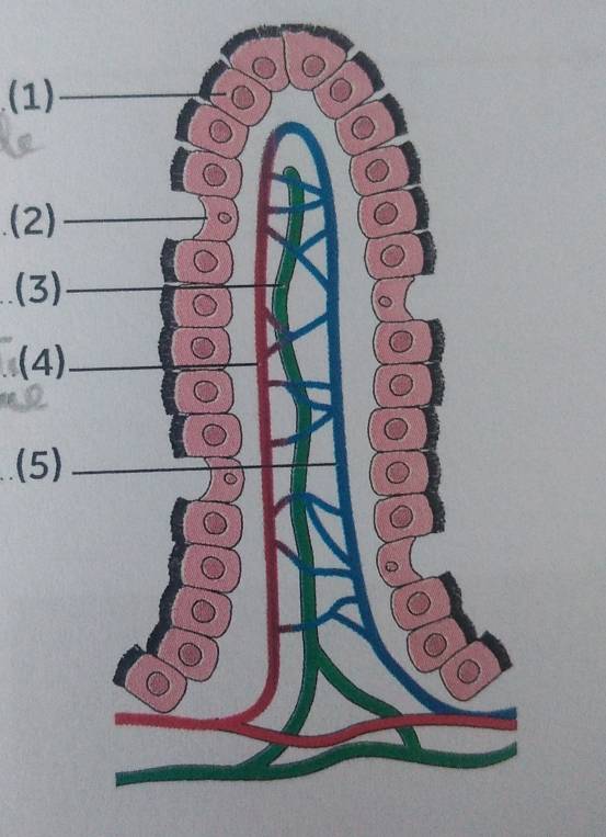 (1) 
.(2) 
.(3 
( 
(5