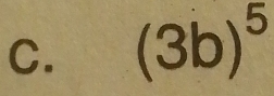 (3b)^5