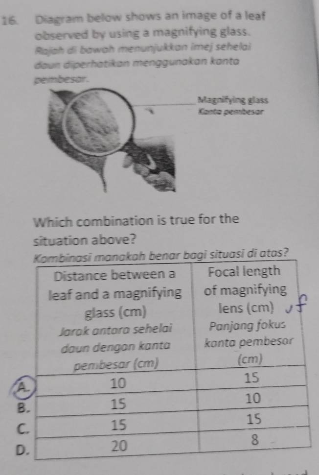 Diagram below shows an image of a leaf 
observed by using a magnifying glass. 
Rajah di bawah menunjukkan imej sehelai 
daun diperhatikan menggunakan kanta 
pembesar. 
Which combination is true for the 
situation above? 
ituasi di atas? 
D