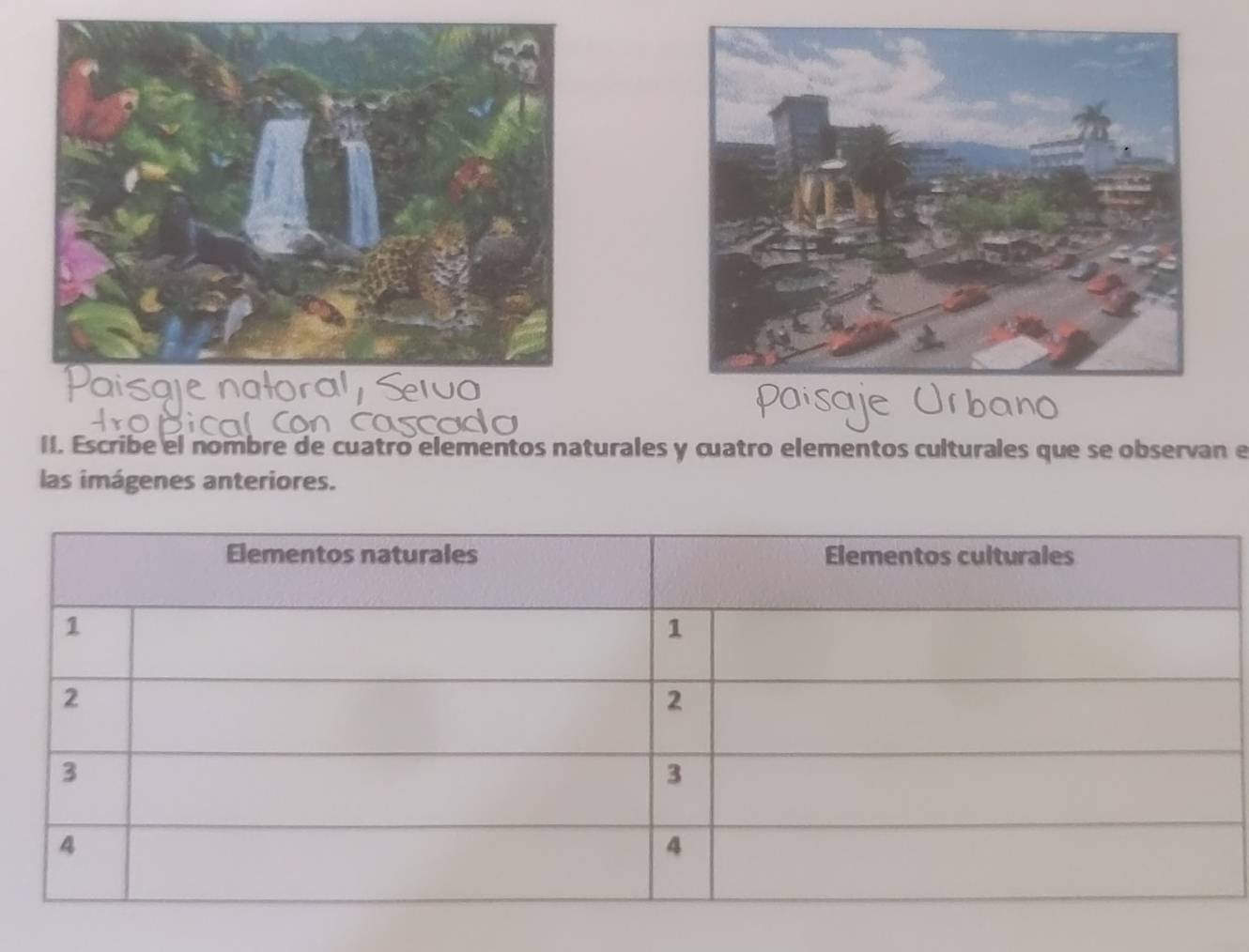 Escribe el nombre de cuatro elementos naturales y cuatro elementos culturales que se observan e 
las imágenes anteriores.