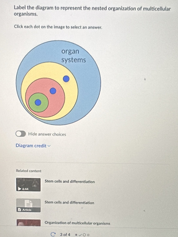 Label the diagram to represent the nested organization of multicellular 
organisms. 
Click each dot on the image to select an answer. 
Hide answer choices 
Diagram credit 
Related content 
Stem cells and differentiation
4
6:44
Stem cells and differentiation 
Article 
Organization of multicellular organisms 
C 3 of 4