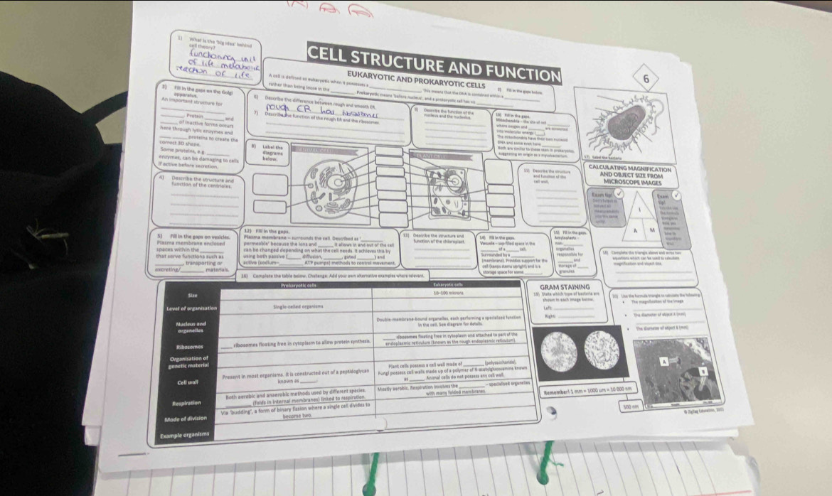 What is the 'bly idea' behind call theory? CELL STRUCTURE AND FUNCTION
6
Rachon _rather than being loose in the
EUKARYOTIC AND PROKARYOTIC CELLS 13 Tü ln the gapa bolea
A cell is defined as eukeryatis when it possesses i This nosens that the OA is contaioed within w
_
3) Fill in the gaps on the Gols 5)   Descrise the difference between rough and umodth E_
Prokaryotic means 'kaore mucleus", and a prokaryolic cell has ns
_
_
_Pratsin 7) Descroe the function of the reugh lit and the rbossmes_
and
Miinchanhia - tn site al oh Lời ill ln the gapn
_
_
_
here through lytic enzymes and  of inactive fomes occurs_
_
Some protelna, e.g correct 3D shape. _0) Label the
_____ rotsina to creats the _auggesting an origin as a mpuslactertun
Il active before secretiqe enzymes, can be damaging to cells
CALCULATING MAGNIFICATION
_
*    'a     AND OBJECT SIZE FROM MICROSCOPE IMAGES
_
_
_
_
_
_ 
_
_
12) Flll in the gaps SSh F9l ln the gan M
Plasma membrane enclosed 5) Fill in the gaps on vesicles. Plasma membrane - surrounds the call Described as  It allows in and out of the cl Vesunte - sap-filled space in the 54) Fill in the gaps.
that serve functions such = spaces within the _____ can be changed depending on what the cell needs. It achieves this by_
_
ta anounded by a 
_
_
_
_
_ transporting or _ ATP pumps) methods to control movement, cell (keeps stera upright) and is a
_
161 Complete the table below, Chellenge. Add your own alternative examples where relevant.
15-100 miorens Gram Staining
Level of organisati Single-celled organisms thown in each image betow 
  
Nucleus and Doubte-mambrane-bound erganeiles, each parforming a spertalized function Righs_
n the call. See sagram for detalls
The sarerse of shjent 6 tmn
Ribosomes ribosomes floeting free in cyroplasm to allow protein synthesis. ribssomes floating free in cyssplasm and attached to part of the
Organisation of
cenetic material Plant cells possess a cell wall made of
Cell wall Present in most organisms. It is constructed out of a peptidoglycan Fungl possess cell walls made up of a polemar of  asivieostnine kneen
known as
spoñalised enganelles
Respiration Both aeroblic and anaerobic methods used by different species Mostly aerobic. Respiration involves the with many folded menbranes. Remember! 1 mm = 1000 um = 10 000 nm
(folds in Internal membranes) linked to respiration
Made of division Vie 'budding", a form of binary fission where a single cell divides to
so0 nm
© 7eglag Edumaion, 123
became two
Example organism