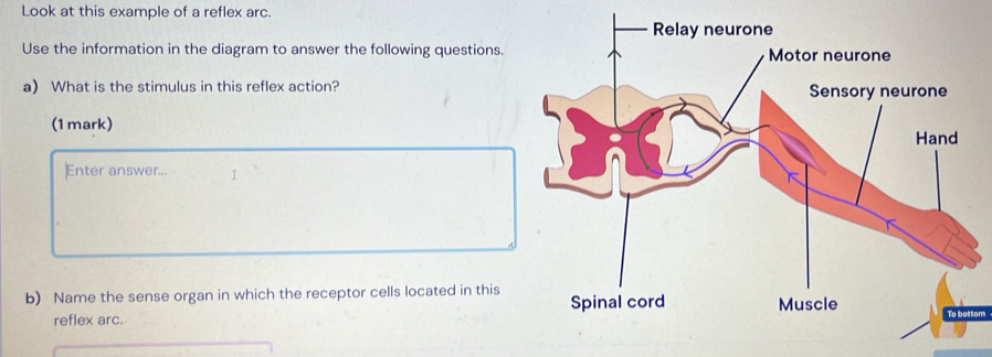 Solved: Look at this example of a reflex arc. Use the information in ...