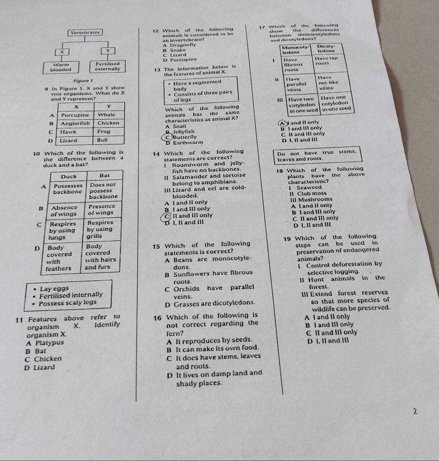 Which of the following 17 Which of the following
animals is considered to be show the differences
an invertebrate? between monocotyledons
atyledons?
B Snake A Dragonßy
C Lizard
D Porcupine 
13 The information below is 
the features of animal X. 
9 In Figure 1. X and Y show Have a segmented body 
two organisms. What do X Consists of three pairs 
and Y represent? of legs 
X γ 
Which of the following
A Porcupine Whale animals has the same 
Anglerfish Chicken characteristics as animal X?
C Hawk Frog D Jellyfish A Snail A  and II only B I and IIl only
C I and III only
。 Lizard Bull C Butterfly D Earthworm D I, II and [
10 Which of the following is 14 Which of the followin Do not have true stems.
the difference between a statements are correct?
duck and a bat? I Roundworm and jelly Icaves and roots.
fish have no backbones. 18 Which of the following
II Salamander and tortoise plants have the above
belong to amphibians.
IIl Lizard and cel are cold- characteristic? l Seaweed
blooded. lI Club moss
B I and III only A I and II only III Mushrooms A I and II only
C II and III only B I and III only
D I, II and III C II and III only
D l, II and III
15 Which of the following 19 Which of the following
steps can be used in
statements is correct? preservation of endangered
A Beans are monocotyle- animals?
dons.
B Sunfowers have fibrous l Control deforestation by
selective logging.
rools.
Lay eggs C Orchids have parallel II Hunt animals in the
forest.
Fertilised internally veins.
Possess scaly legs D Grasses are dicotyledons. III Extend forest reserves
so that more species of
11 Features above refer to 16 Which of the following is A I and II only wildlife can be preserved.
organism X. Identify not correct regarding the
organism X. fern? B I and IIl only
C II and III only
A Platypus
B Bat A It reproduces by seeds. D I, II and III
B It can make its own food.
C Chicken C It does have stems, leaves
D Lizard and roots.
D It lives on damp land and
shady places.
2