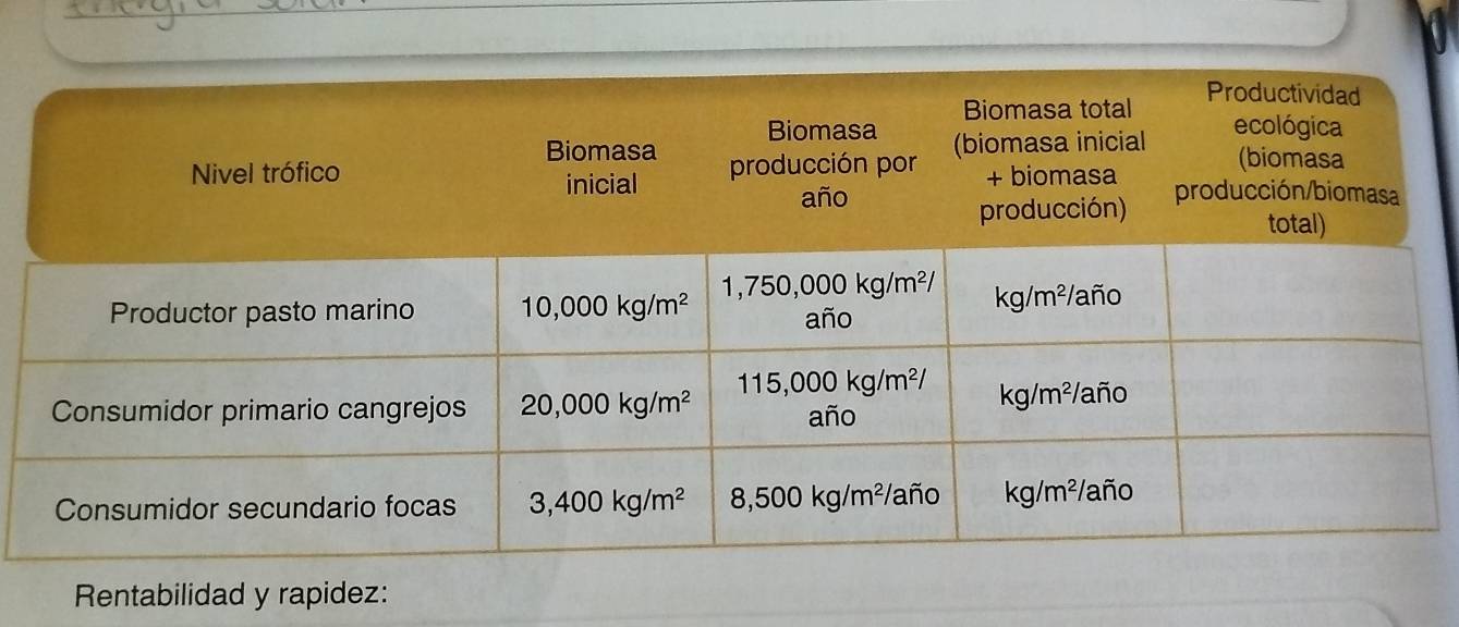 Rentabilidad y rapidez: