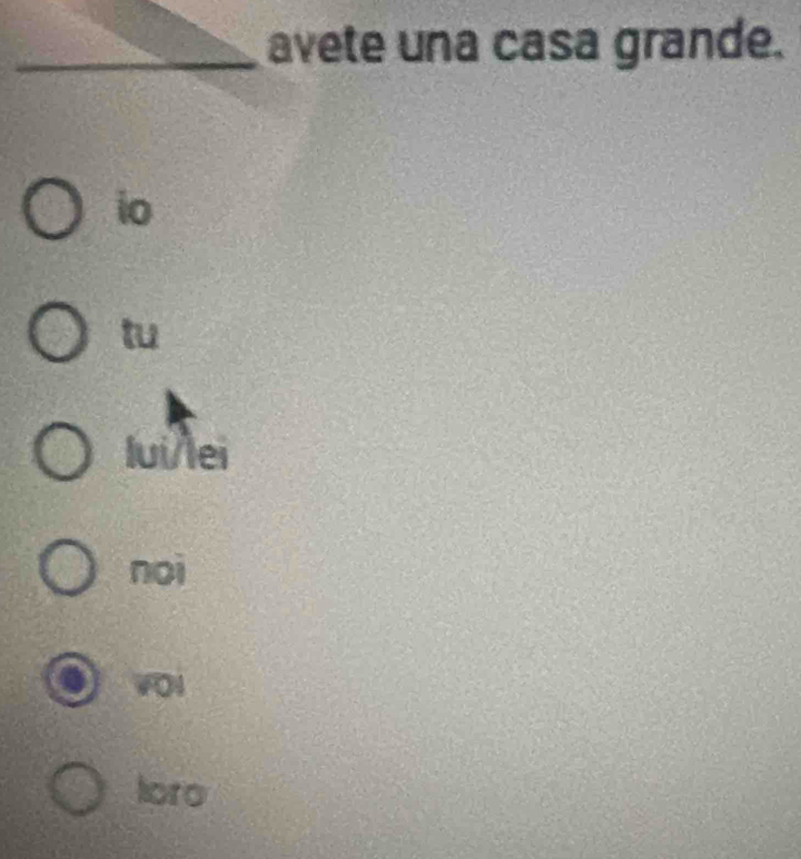 avete una casa grande.
io
tu
lui/lei
noi
toro