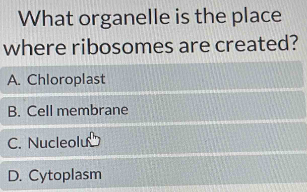 What organelle is the place
where ribosomes are created?
A. Chloroplast
B. Cell membrane
C. Nucleolu
D. Cytoplasm