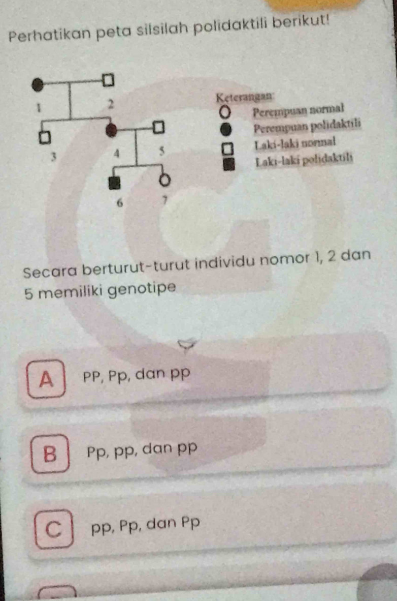 Perhatikan peta silsilah polidaktili berikut!
Secara berturut-turut individu nomor 1, 2 dan
5 memiliki genotipe
A PP, Pp, dan pp
B pp, pp, dan pp
C pp, Pp, dan Pp