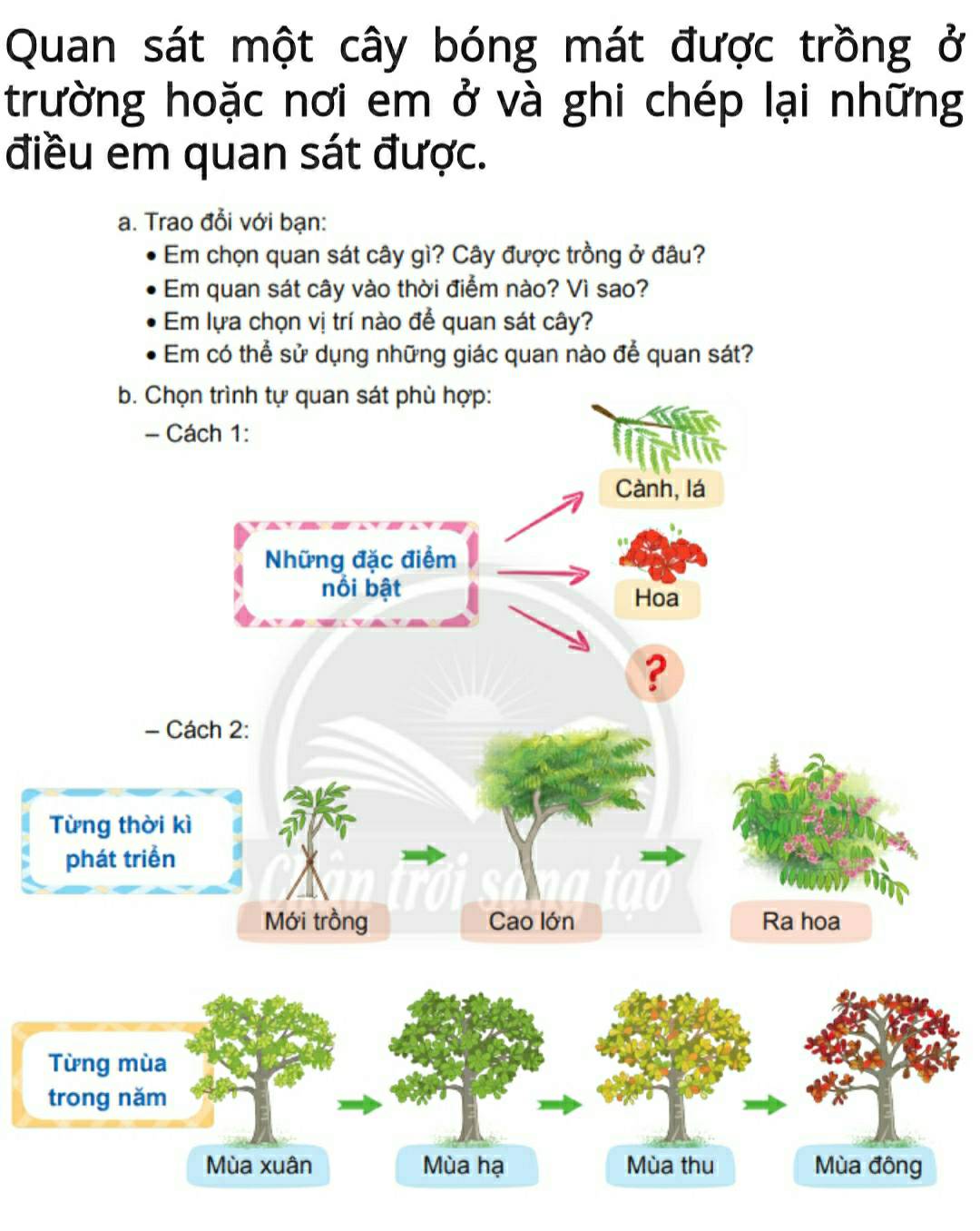 Quan sát một cây bóng mát được trồng ở 
trường hoặc nơi em ở và ghi chép lại những 
điều em quan sát được. 
a. Trao đỗi với bạn: 
Em chọn quan sát cây gì? Cây được trồng ở đâu? 
Em quan sát cây vào thời điểm nào? Vì sao? 
Em lựa chọn vị trí nào để quan sát cây? 
Em có thể sử dụng những giác quan nào để quan sát?