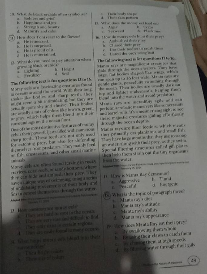 What do black orchids often symbolize? c. Their body shape
a. Sadness and grief d. Their xkis pattern
b. Happiness and joy 15. What does the moray eel feed on!
c. Strength and beauty a Algae b Crabs
d. Maturity and calm c. Seaweed d Planktons
How does Toni react to the flower? 16. How do moray eels hunt their prey?
a. He is amazed. a. Ambushed their prey
b. He is surprised. b. Chased their prey
c. He is proud of it c. Use their bodies to crush them
d. He is entertained. d. Lured the prey using bait
12. What do you need to pay attention when The following text is for questions 17 to 20.
growing black orchids?
Lighting b. Height Manta rays are magnificent creatures that
c Fertilizer d. Soil glide through the ocean waters. They have
large, flat bodies shaped like wings, which
The following text is for questions 13 to 16. can span up to 26 feet wide. Manta rays are
Moray eels are fascinating creatures found gentle giants, peacefully swimming through
in oceans around the world. With their long. the ocean. Their bodies are usually dark on
snake-like bodies and sharp teeth, they top and lighter underneath, helping them
might seem a bit intimidating, but they are blend into the water and avoid predators.
actually quite shy and elusive. Their bodies Manta rays are incredibly agile and can
are usually a mix of colors like brown, green, perform acrobatic maneuvers like somersaults
or gray, which helps them blend into their and barrel rolls. It's a mesmerizing sight to see
surroundings on the ocean floor these majestic creatures gliding effortlessly
One of the most distinctive features of moray through the ocean depths.
eels is their powerful jaws filled with numerous Manta rays are filter feeders, which means
sharp teeth. These teeth are not only used they primarily eat planktons and small fish.
for catching prey, but also for defending They have large mouths that they use to scoop
themselves from predators. They mainly feed up water, along with their prey, as they swim.
on fish, crustaceans, and other small marine Special filtering structures called gill plates
then help them strain out the tiny organisms
animals from the water
Moray eels are often found turking in rocky
crevices, coral reefs, or sandy bottoms, where Adasbed Beer Amge waw Fisheries mosa poncopecinsigiont-marre nos
they can hide and ambush their prey. They Feterwary 15, 2024
have a unique way of swimming, using a series 17. How is Manta Ray demeanor?
of undulating movements of their body and a. Aggressive b. Timid
fins to propel themselves through the water. c. Peaceful d. Energetic
Adeptad (nn 18 What is the topic of paragraph three?
Aob
e  2  a. Manta ray's diet
13. How common are morav eels? b Manta ray's attitude
a They are hard to spot in the ocean. e. Manta ray's ability
b. They are very care and duficult to find. d. Manta ray's appearance
They nly esrt in certain regions 19. How does Manta Ray eat their prey?
d. Ihey are easily tound to many occans a By swallowing them whole
14. What helps moray eals blend into their h By using their claws to eatch them
Their bright colnty e. By chasing them at high speeds
w d i  '
h Thein mix of coluts d. By filtering water through their gills
Na dgoentul Nasure of Indcosssa 49