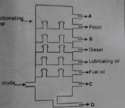 ctionating 
or 
érude 
D