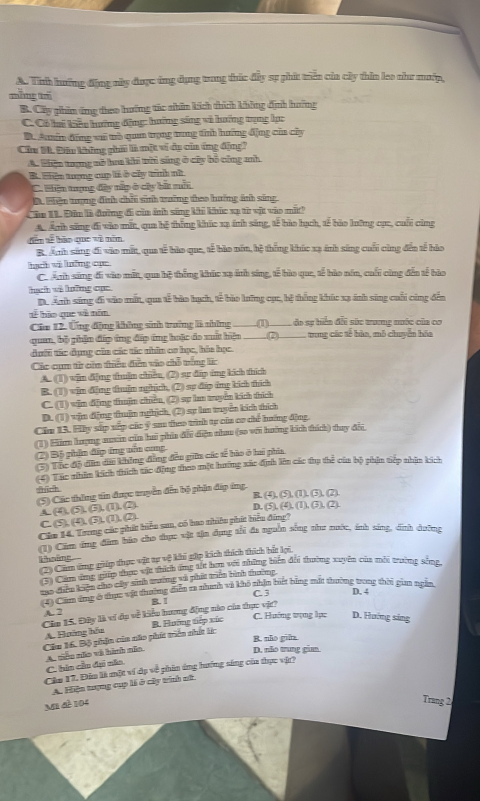 A. Tnh hướng động này được ủng dụng trong thức đây sự phít tiên của cây thin leo như mướp,
mông trǔ
B. Cây phin ứng đheo hướng túc nhân kích thích không định hưỡng
C. Có hi kiểu hưỡng động: hướng sáng và hướng tụng lạc
D. Aẩn đồng vi trò qum trọng trung tính hướng động của cây
Ciu V. Đầu không giai là một vi dy của ứng động?
A. Hiện toợng mô ha ki trên sáng ở củy bộ công anh.
B. Hiên tượng cup lở củy tình nữ
C. Thện trượng đây nip ở cây bá sui
Da Hiên tượng đình chii sinh trưởng theo hưởng ảnh sáng
Câa 11. Đin là đường đi của ánh sáng khi khức xạ từ vậ vào mi?
A. Anh săng đi vào mắt, qua hệ thống khúc xạ ánh săng, tế bào hạch, tế bào lưỡng cục, cuối cùng
dên tế bào que và năm
B. Anh sáng đi vào mất, qua tế bào que, tế bào năn, hệ thống khúc xạ ánh sáng cuối cùng đến tế hàa
hach wề lưông cục
Ch nh sáng đi vào mất, qua hệ thắng khúc xa ánh sing, tế bào que, tế hào năn, cuối cùng đến tế bào
hach và hưống cục
D. Anh sáng đi vào mất, qua tế hào hạch, tế hào lưỡng cục, hệ thống khúc xạ ánh săng cuối cũng đến
é bào que và nín
Cầu 12. Ứng động không sinh trưởng là những ___(I)____ đo sự biển đổi sức trương nuớc của cơ
quan, bộ phận đếp ứng đếp ứng huặc đo xuất hiện ____.(2)____ tong các tế bàa, mô chuyên hóa
đưi tác đụng của các tác nhân or học, bia học.
Các cụm từ cần tiểu điên vào chỗ tống lĩc
A. (1) wăn động thuậm chiên, (2) sự đẹp ứng kích thích
B. (1) vận động thuậm nghích, (2) sự đếp ứng kích thích
C. (1) wăn động thuận chiên, (2) sự lan truyền kích thích
D. (1) vận động thuận nghịch, (2) sự lm truyền kích thích
Cim 13. Hệy sắp xếp các ý sau theo tình tự của cơ chế hướng động.
(1) Hăm hượng cucần của hai phía đấi điện nhau (so với hướng kích thích) they đếu
2) Bộ phin đặp ứng nấn cng
(3) Tóc độ dễm đai không đẳng đâu giữa các tế hào ở hai phía
(4) Tác nhân kích thích tác động theo một hướng xác định lên các thụ thể của bộ phin tiếp nhận kích
thic 
(5) Các thăng tín được truyền đến bộ phận đấp ứng.
B. (4), (5), (1), (3), (2).
A.(4), (5), (5), (1), (2).
D. (5), (4), (1), (3), (2).
C. (5), (4), (5), (1), (2).
Cim 14. Trong các phít hiệu san, có hao nhiêu phít biểu đứng?
(1) Câm ứng đâm bão cho thực vật tặn đụng tối đa nguồn sống núu nuớc, ánh sing, dình đường
khoáng
(2) Cầm ứng giúp thực vật tự vệ khi gặp kích thích thích bắt lợi.
(3) Cêm ứng giáp thực vật thích ứng tắt hơ với những biến đối thường xuyên của môi trường sống
Lao thêu kiện cho củy sinh tường và phít triên bình thường.
(4) Căm ứng ở thực vật thường diễn ra nhanh vi khô nhận biết bằng mắt thường tong thời giaa ngễa
C 3 D. 4
B. 1
A. 2
Cin 15. Đây là ví dụ về kiểu hương động nào của thực vật?
A. Hưỡng hốa B. Hướng tiếp xúc C. Hướng trọng lục D. Hưởng sing
B. não giữa
Câu 16. Bộ phim của não phít triển nhất lc
A. niễo não và hình nãn
D. não trung giam
C. hin cầu du nĩa.
Cio 17. Đâu là một ví đụ về phin ứng hướng sáng của thực vật?
A. Hiện tượng cụp là ở cây trình nữ.
M đè 104
Trang 2