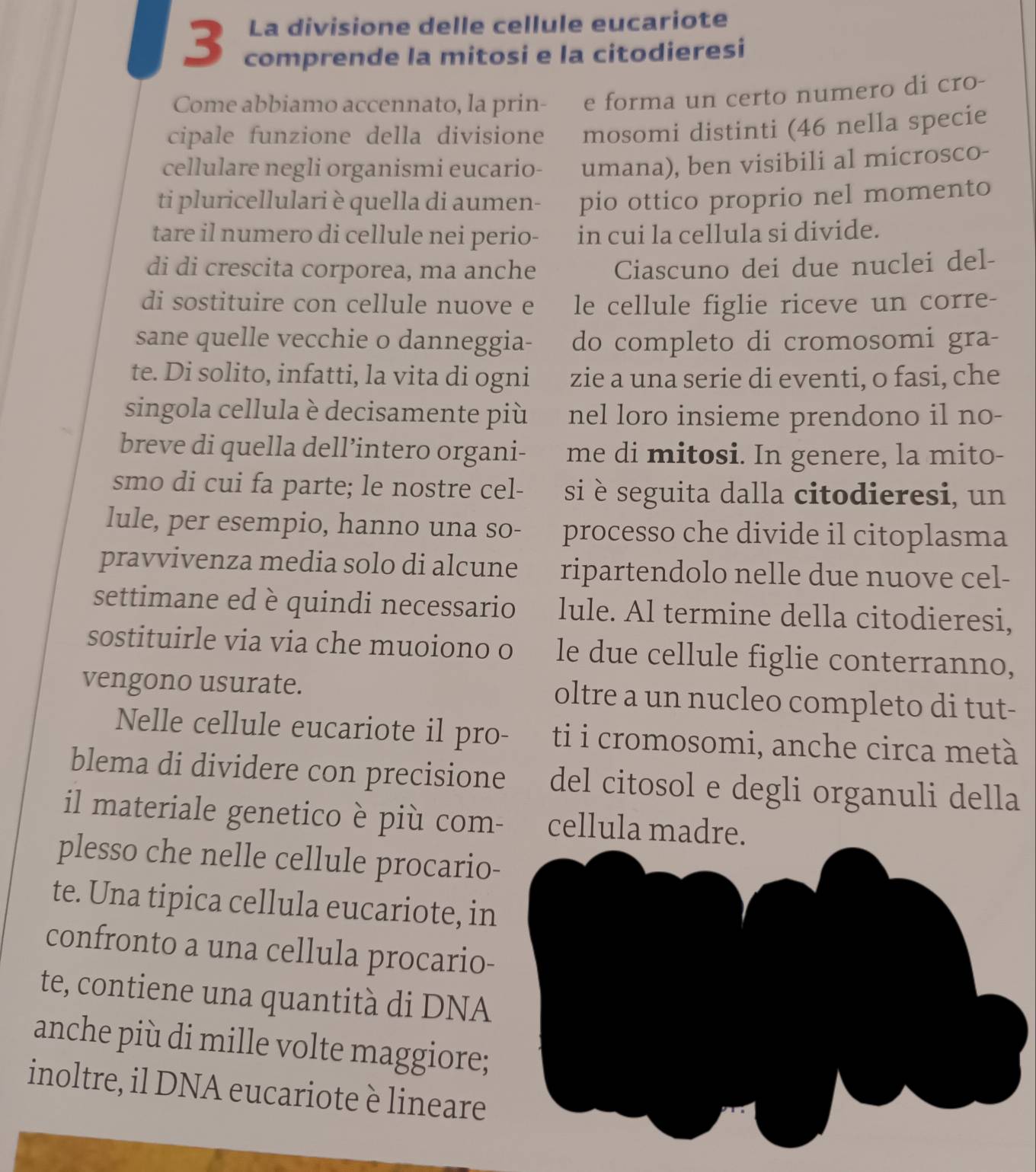 La divisione delle cellule eucariote
3 comprende la mitosi e la citodieresi
Come abbiamo accennato, la prin- e forma un certo numero di cro-
cipale funzione della divisione mosomi distinti (46 nella specie
cellulare negli organismi eucario- umana), ben visibili al microsco-
ti pluricellulari è quella di aumen- pio ottico proprio nel momento
tare il numero di cellule nei perio- in cui la cellula si divide.
di di crescita corporea, ma anche Ciascuno dei due nuclei del-
di sostituire con cellule nuove e le cellule figlie riceve un corre-
sane quelle vecchie o danneggia- do completo di cromosomi gra-
te. Di solito, infatti, la vita di ogni zie a una serie di eventi, o fasi, che
singola cellula è decisamente più nel loro insieme prendono il no-
breve di quella dell’intero organi- me di mitosi. In genere, la mito-
smo di cui fa parte; le nostre cel- si è seguita dalla citodieresi, un
lule, per esempio, hanno una so- processo che divide il citoplasma
pravvivenza media solo di alcune ripartendolo nelle due nuove cel-
settimane ed è quindi necessario lule. Al termine della citodieresi,
sostituirle via via che muoiono o le due cellule figlie conterranno,
vengono usurate. oltre a un nucleo completo di tut-
Nelle cellule eucariote il pro- ti i cromosomi, anche circa metà
blema di dividere con precisione del citosol e degli organuli della
il materiale genetico è più com- cellula madre.
plesso che nelle cellule procario-
te. Una tipica cellula eucariote, in
confronto a una cellula procario-
te, contiene una quantità di DNA
anche più di mille volte maggiore;
inoltre, il DNA eucariote è lineare