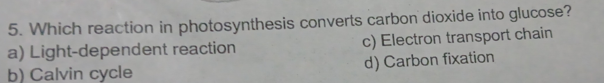Which reaction in photosynthesis converts carbon dioxide into glucose?
c) Electron transport chain
a) Light-dependent reaction
d) Carbon fixation
b) Calvin cycle