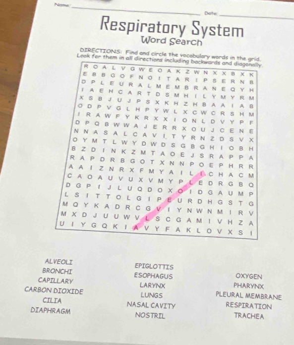 Dote:_ 
Respiratory System 
Word Search 
DIRECTIONS: Find and circle the voca 
L 
ALVEOLI EPIGLOTTIS 
oxygen 
BRONCHI ESOPHAGUS PHARYNX 
CAPILLARY LARYNX PLEURAL MEMBRANE 
CARBON DIOXIDE LUNGS RESPIRATION 
CILIA NASAL CAVITY 
DIAPHRAGM NOSTRIL 
TRACHEA