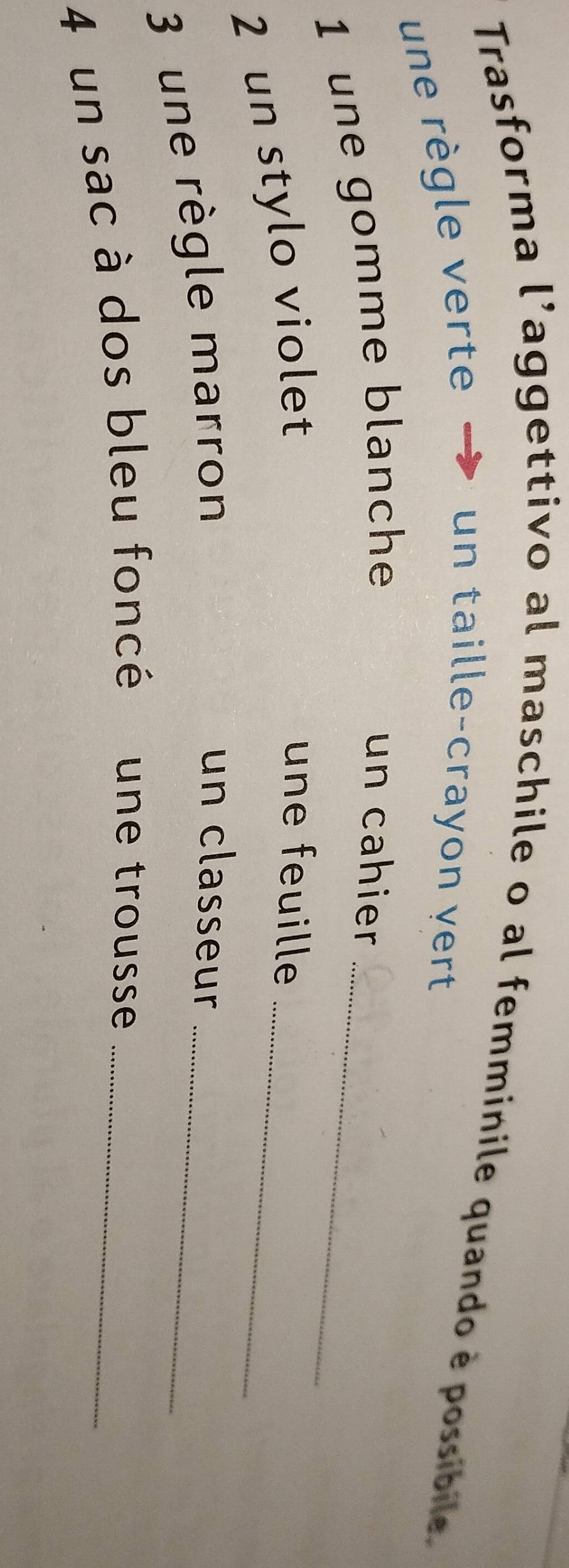 Trasforma l'aggettivo al maschile o al femminile quando è possibile. 
une règle verte 
un taille-crayon yert 
_ 
1 une gomme blanche 
un cahier 
_ 
2 un stylo violet 
une feuille 
3 une règle marron 
_ 
un classeur 
4 un sac à dos bleu foncé une trousse_