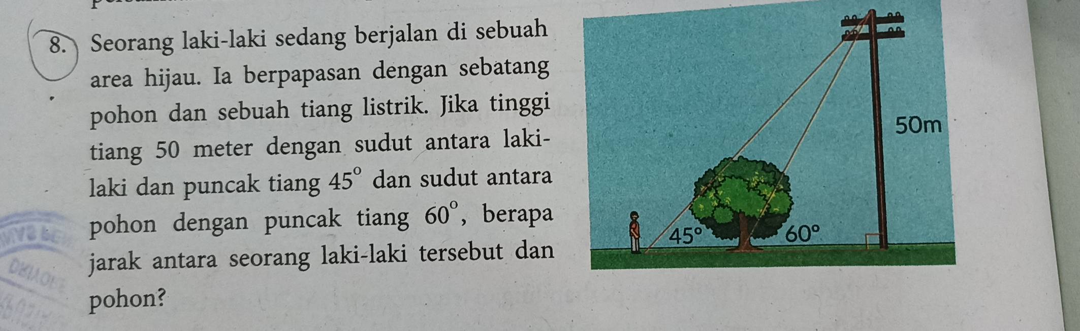 Seorang laki-laki sedang berjalan di sebuah
area hijau. Ia berpapasan dengan sebatang
pohon dan sebuah tiang listrik. Jika tinggi
tiang 50 meter dengan sudut antara laki-
laki dan puncak tiang 45° dan sudut antara
1 pohon dengan puncak tiang 60° , berapa
OK1 jarak antara seorang laki-laki tersebut dan
pohon?