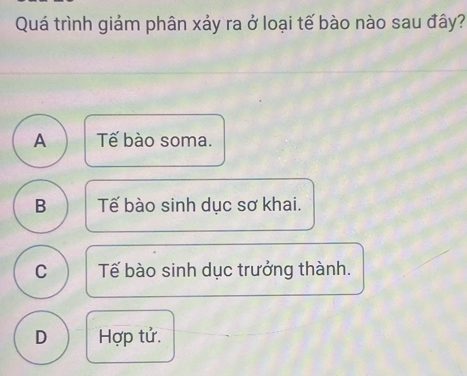 Quá trình giảm phân xảy ra ở loại tế bào nào sau đây?
A Tế bào soma.
B Tế bào sinh dục sơ khai.
C Tế bào sinh dục trưởng thành.
D Hợp tử.