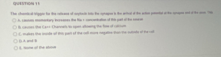 The chemical trigger for the release of oxytocin into the cynapse in the arrival of the action potental at the cyapse end of the ason. This
A. causes momentary increases the Na + concentration of this part of the neuron
B. causes the Ca++ Channels to open allowing the flow of calcium
C. makes the inside of this part of the cell more negative than the outside of the coll
D). A and B
E. None of the above