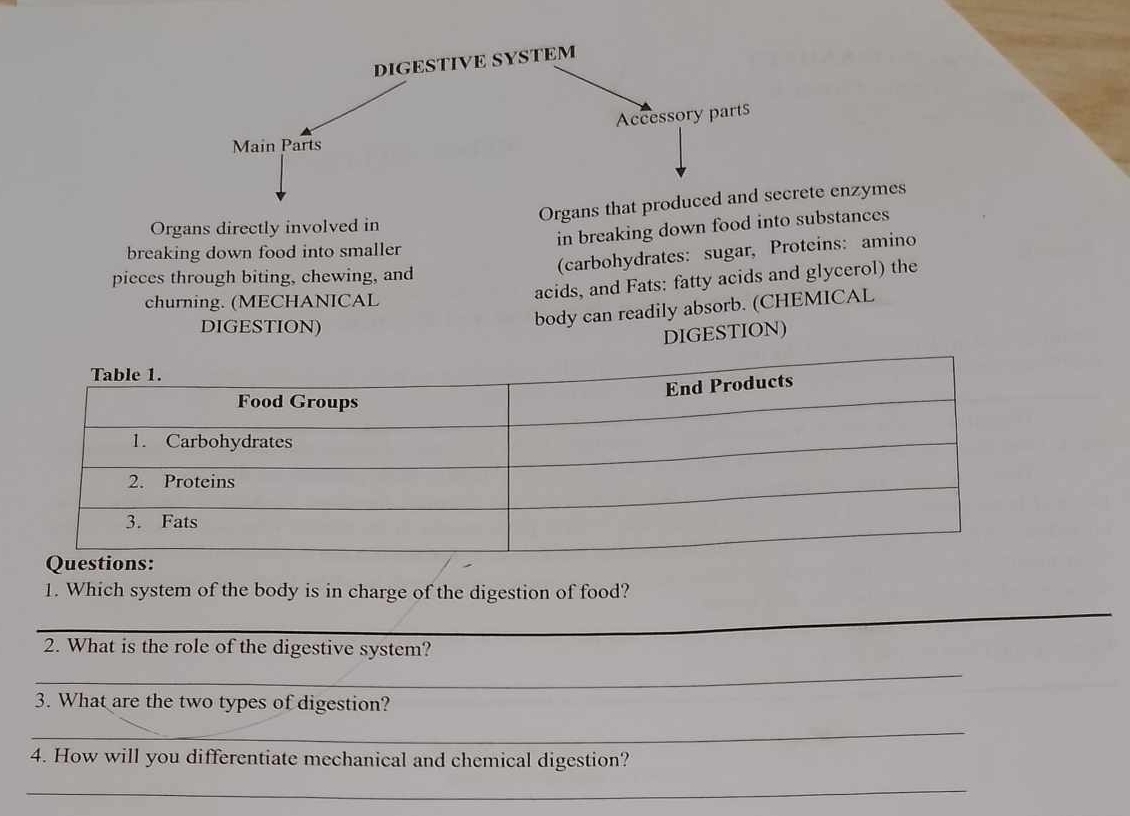 Organs thatte enzymes 
in breaking down food into substances 
Organs directly involved in 
breaking down food into smaller 
(carbohydrates: sugar, Proteins: amino 
pieces through biting, chewing, and 
churning. (MECHANICAL 
acids, and Fats: fatty acids and glycerol) the 
DIGESTION) 
body can readily absorb. (CHEMICAL 
DIGESTION) 
1. Which system of the body is in charge of the digestion of food? 
_ 
_ 
2. What is the role of the digestive system? 
_ 
3. What are the two types of digestion? 
_ 
4. How will you differentiate mechanical and chemical digestion? 
_