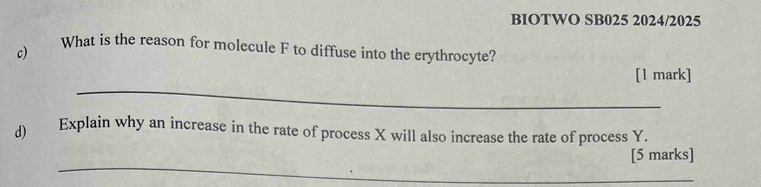 BIOTWO SB025 2024/2025 
c) 
What is the reason for molecule F to diffuse into the erythrocyte? 
_ 
[1 mark] 
d) Explain why an increase in the rate of process X will also increase the rate of process Y. 
_ 
[5 marks]