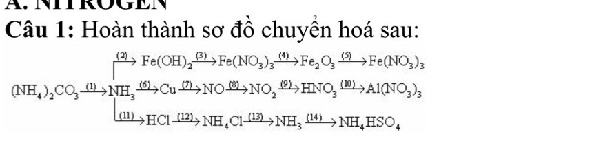 NIIRÜGEN 
Câu 1: Hoàn thành sơ đồ chuyển hoá sau:
xrightarrow (2) Fe(OH)_2xrightarrow (3)Fe(NO_3)_3xrightarrow (4)Fe_2O_3xrightarrow (5)Fe(NO_3)_3
(NH_4)_2CO_3xrightarrow (1)NH_3xrightarrow (6)Cuxrightarrow (7)NOxrightarrow (8)NO_2xrightarrow (9)HNO_3xrightarrow (10)Al(NO_3)_3
xrightarrow [(11)to HClxrightarrow (12)NH_4Clxrightarrow (13)NH_3xrightarrow (14)NH_4HSO_4