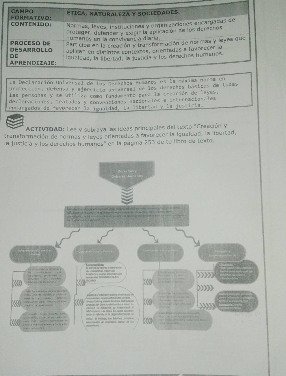 La Declaración Universal de los Derechos Humanos es la máxima norma 
protección, defensa y ejercicio universal de los derechos básicos de todas 
las personas y se utiliza como fundamento para la creación de leyes, 
declaraciones, tratados y convenciones nacionales e internacionales 
encargados de favorecer la igualdad, la libertad y la justicia. 
ACTIVIDAD: Lee y subraya las ideas principales del texto “Creación y 
transformación de normas y leyes orientadas a favorecer la igualdad, la libertad, 
la justicia y los derechos humanos" en la página 253 de tu libro de texto.