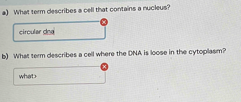 What term describes a cell that contains a nucleus? 
X 
circular dna 
b) What term describes a cell where the DNA is loose in the cytoplasm? 
× 
what>