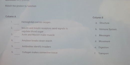 Match the protein to function
Column A Column B
_
1. Hemoglobin carries oxygen a. Structure
2._ Insulin and Insulin receptors send signals to b. Immune System
regulate blood sugar
3 _Actin and Myosin make muscle c. Messages
_
4. Amylase breaks down starch d. Movement
5._ Antibodies identify invaders e. Digestion
6._ Collagen makes connective tissue f. Transport