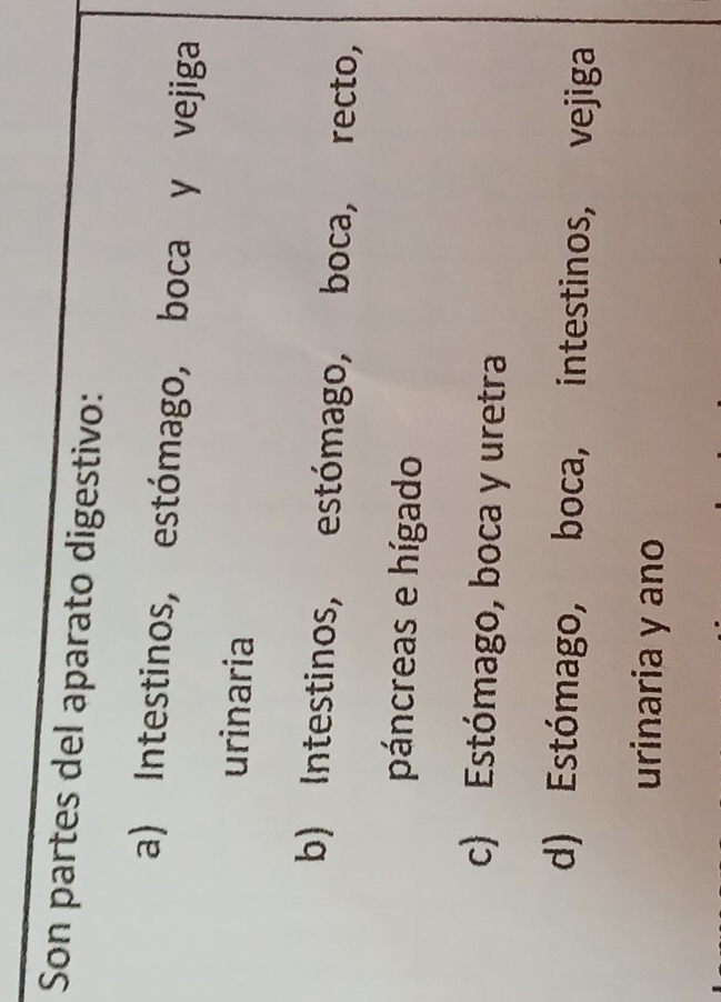 Son partes del aparato digestivo:
a) Intestinos, estómago, boca y vejiga
urinaria
b) Intestinos, estómago, boca, recto,
páncreas e hígado
c) Estómago, boca y uretra
d) Estómago, boca, intestinos, vejiga
urinaria y ano