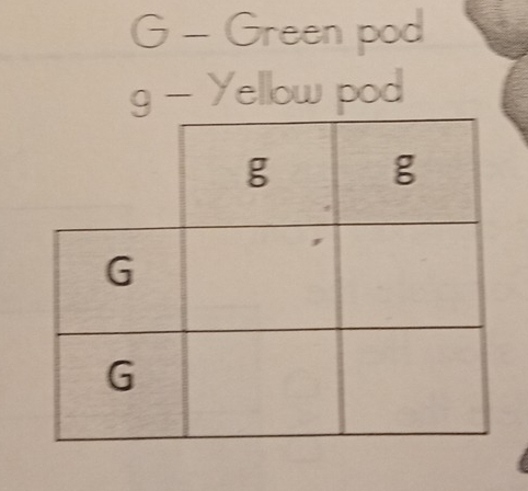 Green pod
9-y ellow pod