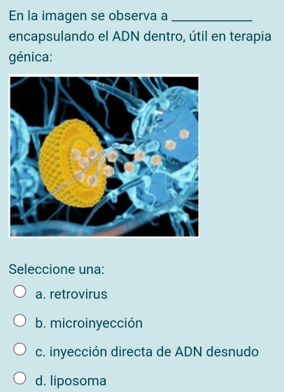 En la imagen se observa a_
encapsulando el ADN dentro, útil en terapia
génica:
Seleccione una:
a. retrovirus
b. microinyección
c. inyección directa de ADN desnudo
d. liposoma