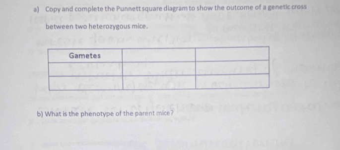 Copy and complete the Punnett square diagram to show the outcome of a genetic cross 
between two heterozygous mice. 
b) What is the phenotype of the parent mice?