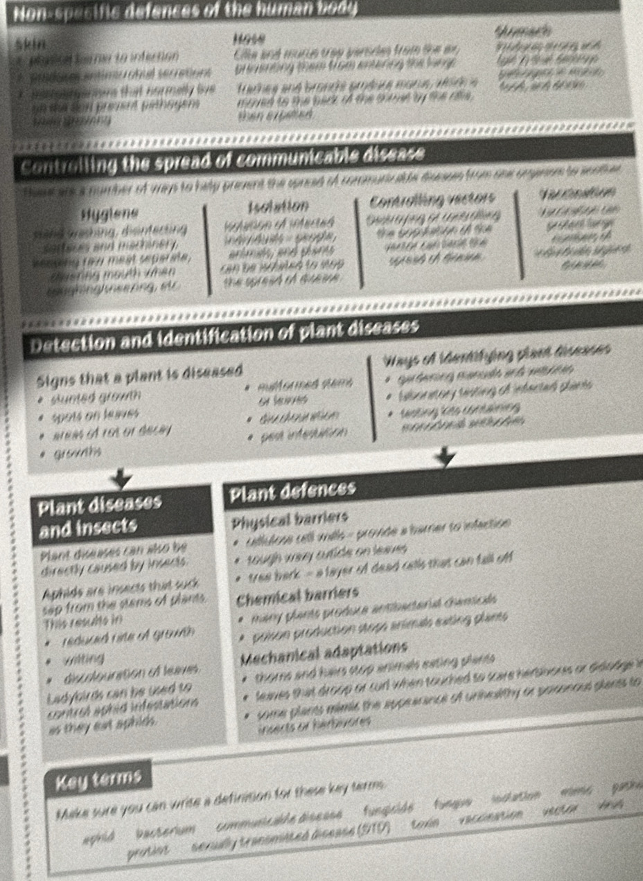 Non-specific defences of the human body
skin Hose *Areada
pond  hmner to infertion  Cille and murus tray persde from the an          
h amting them trom entering the lings Lé L   é Gene
  
*  iaron garions that normelly lvs  Traches and brance aréère morue, wode             
S t   (nn rred to the back of the thovt by the ra 
than erosed .
Controlling the spread of communicable disease
theat are a number of wys to help prevent the sprced of commurv a e dnesss from ohe oopnen to soatir 
Hygiene Isolation Controlling vectors
seng Grcing, denferung G      t             
arteces and macraner          Ge       t    d  t
sesäng rey mést seperme    é a Cé ca   t        o 
C     
u   rng m gưth vhan  an be wned to 1999         ê  
            
Detection and identification of plant diseases
Signs that a plant is diseased Ways of Ventitying pianh tisease
unted growth    m  e d  d am Sue Gerong mancón anl meri an 
taborstory sesting of infected phants
spots en leavés t   Gsting Kês containing
aeas À ros or decay
grovths pest infesution                     
Plant diseases Plant defences
and insects
Physical barriers
Plant diseases can also be * cellutose cell wlls - promde a barer to infection
directly caused by insects .  ough wey sutide on leaue 
Aphids are insects that suck tree bark - a layer of dead cells that can tall of 
sap from the stems of plants. Chemical barriers
reduced nite of groath many plants produca antibactara danicl
This results in
poison production stope arimale eating planto
. wilting
*  discrlouration of leaves Mechanical adaptations
Ladybirds can be used to thoms and heirs stop animels eating plants .
contrel apted infesation leaes that droop or curl when touched to scare hersvores or didodge i
as they eat aphids. some plants mimils the appearance of unheslithy or posonoul plants to
insects or hérbivores 
Key terms
Make sure you can write a definition for these key terms
ephid   bacterium' communicable disease' fungicide'  funguo' inclation mimc pathe
protion  sevully transmiated disease (210)  toxin  vaccnation  vector ' vris