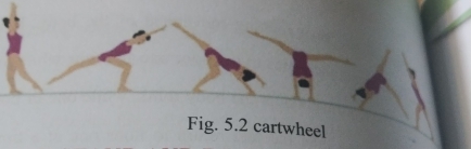 Fig. 5.2 cartwheel