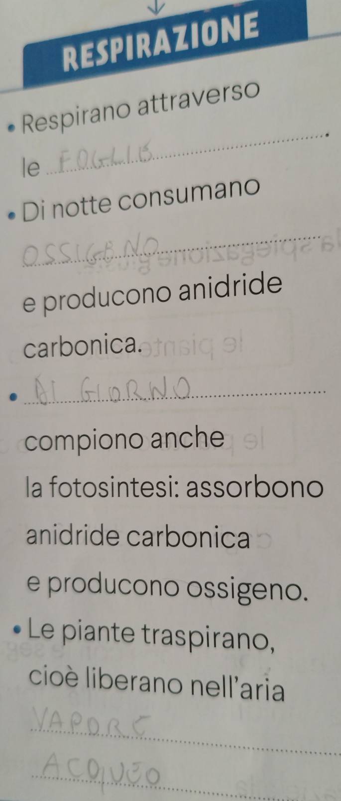 RESPIRAZIONE 
Respirano attraverso 
le 
_ 
Di notte consumano 
_ 
e producono anidride 
carbonica. 
_ 
compiono anche 
la fotosintesi: assorbono 
anidride carbonica 
e producono ossigeno. 
Le piante traspirano, 
cioè liberano nell'aria 
_ 
_