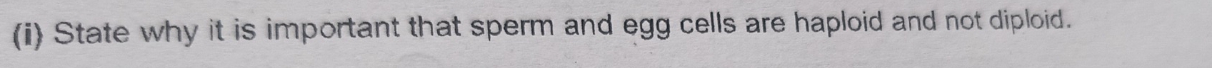 State why it is important that sperm and egg cells are haploid and not diploid.