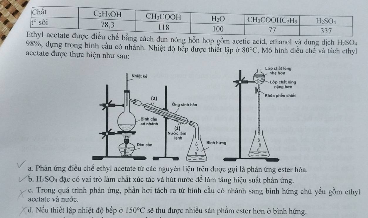 chế bằng cách đun nóng hỗn hợp gồm acetic acid, ethanol và dung dịch H_2SO_4
98%, đựng trong bình cầu có nhánh. Nhiệt độ bếp được thiết lập ở 80°C. Mô hình điều chế và tách ethyl
acetate được thực hiện như sau:
a. Phản ứng điều chế ethyl acetate từ các nguyên liệu trên được gọi là phản ứng ester hóa.
b. H_2SO_4 đặc có vai trò làm chất xúc tác và hút nước để làm tăng hiệu suất phản ứng.
c. Trong quá trình phản ứng, phần hơi tách ra từ bình cầu có nhánh sang bình hứng chủ yếu gồm ethyl
acetate và nước.
d. Nếu thiết lập nhiệt độ bếp ở 150°C sẽ thu được nhiều sản phầm ester hơn ở bình hứng.