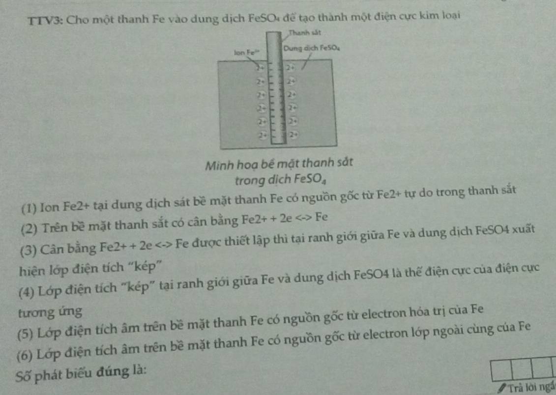 TTV3: Cho một thanh Fe vào dung dịch FeSO4 để tạo thành một điện cực kim loại
Minh hoạ bề mặt thanh sắt
trong dich Fe SO_4
(1) Ion Fe2+ tại dung dịch sát bề mặt thanh Fe có nguồn gốc từ Fe2+ tự do trong thanh sắt
(2) Trên bề mặt thanh sắt có cân bằng Fe2++2e <->Fe
(3) Cân bằng Fe 2++2e<-> Fe được thiết lập thì tại ranh giới giữa Fe và dung dịch FeSO4 xuất
hiện lớp điện tích “kép”
(4) Lớp điện tích “kép” tại ranh giới giữa Fe và dung dịch FeSO4 là thế điện cực của điện cực
tương ứng
(5) Lớp điện tích âm trên bề mặt thanh Fe có nguồn gốc từ electron hóa trị của Fe
(6) Lớp điện tích âm trên bề mặt thanh Fe có nguồn gốc từ electron lớp ngoài cùng của Fe
Số phát biểu đúng là:
'Trả lời ngấ