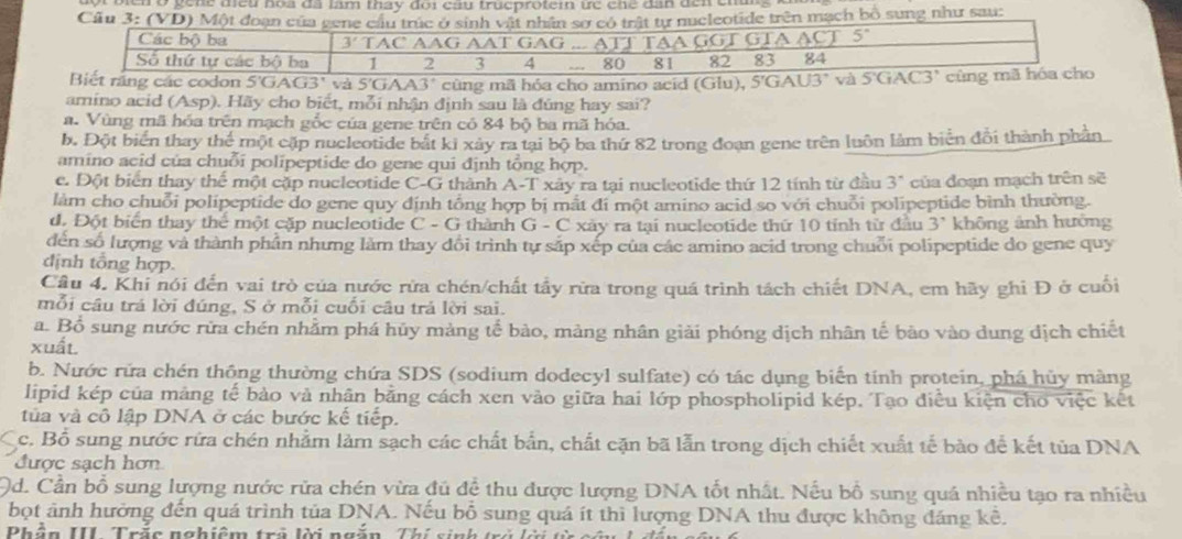 ở gene theu họa đã làm thay đoi cầu trueprotein ức che dân đến cha 
mạch bộ sung như sau:
5'GAA3'' cùng mã hóa cho amino acid (Glu),
amino acid (Asp). Hãy cho biết, mỗi nhận định sau là đúng hay sai?
a. Vùng mã hóa trên mạch gốc của gene trên có 84 bộ ba mã hóa.
b. Đột biển thay t hc một cặp nucleotide bắt ki xảy ra tại bộ ba thứ 82 trong đoạn gene trên luôn làm biển đổi thành phần
amino acid của chuỗi polipeptide do gene qui định tổng hợp.
c. Đột biển thay thể một cặp nucleotide C-G thành A-T xây ra tại nucleotide thứ 12 tính từ đầu 3" của đoạn mạch trên sẽ
làm cho chuỗi polipeptide do gene quy định tổng hợp bị mắt đi một amino acid so với chuỗi polipeptide bình thường.
d. Đột biển thay thể một cặp nucleotide C - G thành G - C xây ra tại nucleotide thứ 10 tỉnh từ đầu 3^, không ảnh hưông
đến số lượng và thành phần nhưng làm thay dổi trình tự sắp xếp của các amino acid trong chuỗi polipeptide do gene quy
định tổng hợp.
Cầu 4. Khi nói đến vai trò của nước rừa chén/chất tẩy rữa trong quá trình tách chiết DNA, em hãy ghi Đ ở cuối
mỗi cầu trá lời đúng, S ở mỗi cuối câu trả lời sai.
a. Bổ sung nước rữa chén nhằm phá hủy màng tế bào, mảng nhân giải phóng dịch nhân tế bào vào dung dịch chiết
xuất.
b. Nước rứa chén thông thường chứa SDS (sodium dodecyl sulfate) có tác dụng biển tính protein, phá hủy màng
lipid kép của mảng tế bảo và nhân bằng cách xen vào giữa hai lớp phospholipid kép. Tạo điều kiện cho việc kết
tủa và cô lập DNA ở các bước kế tiếp.
c. Bổ sung nước rứa chén nhằm làm sạch các chất bắn, chất cặn bã lẫn trong dịch chiết xuất tế bào để kết tủa DNA
được sạch hơn
d. Cần bổ sung lượng nước rửa chén vừa đủ đề thu được lượng DNA tốt nhất. Nếu bổ sung quá nhiều tạo ra nhiều
bọt ảnh hưởng đến quá trình tủa DNA. Nếu bỗ sung quá ít thì lượng DNA thu được không đáng kê.
Phần III Trắc nghiêm trở lời ngắn Thị sinh  trả h