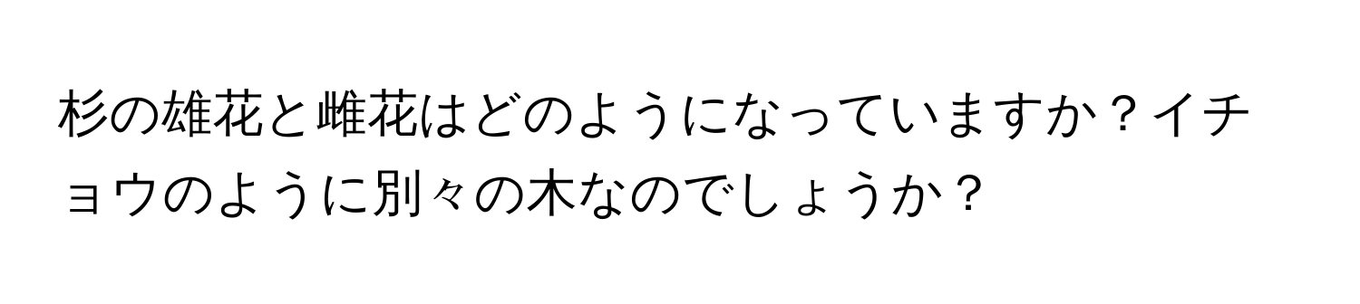 杉の雄花と雌花はどのようになっていますか？イチョウのように別々の木なのでしょうか？