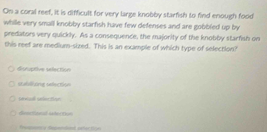 On a coral reef, it is difficult for very large knobby starfish to find enough food
while very small knobby starfish have few defenses and are gobbled up by
predators very quickly. As a consequence, the majority of the knobby starfish on
this reef are medium-sized. This is an example of which type of selection?
disruptive selection
stablizing selection
seul selection
diractional delection
freqencn dependent asfection