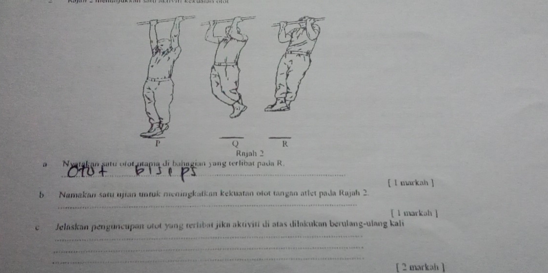 a Nyatakan satu ofot ntama di bahagian yang terlibat pada R. 
_ 
[ l markah ] 
b Namakan satu ujian untuk meningkatkan kekuatan otot tangan atlet pada Rajah 2. 
_ 
[ l markah ] 
_ 
e Jelaskan penguncupan otot yang terlibat jika aktiviti di atas diłakukan berulang-ulang kali 
_ 
_ 
[ 2 markah ]